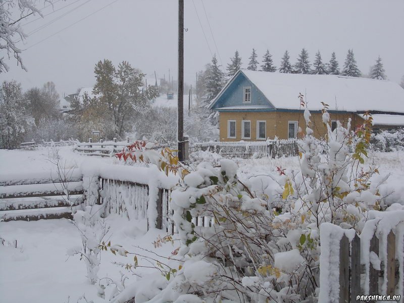 В Пакшеньге первый снег. 11 октября 2014 г.